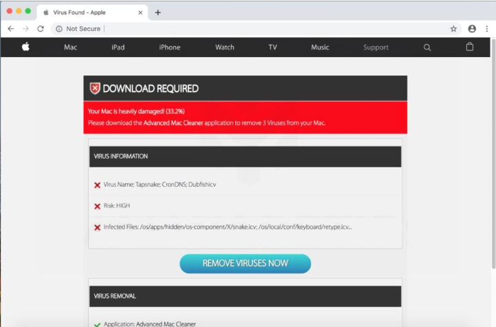 The site shows fake system problems to increase software downloads and purchases